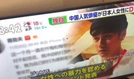 蒋劲夫家暴事件爆料视频,视频揭露惊人真相