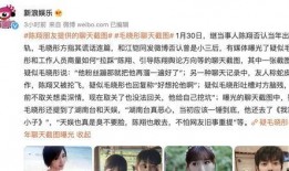 娱乐吃瓜君事件,揭秘网络舆论背后的真相与争议