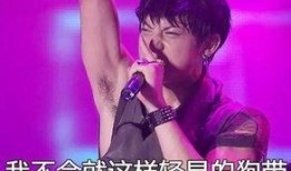 周群爆料自己的后人视频,家族传承背后的故事