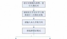24年新瓜车最新爆料,颠覆传统，引领未来汽车潮流