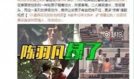 盘锦小奔事件爆料视频大全,揭秘网络爆料视频背后的真相与争议