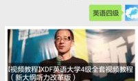 网友爆料英文视频素材