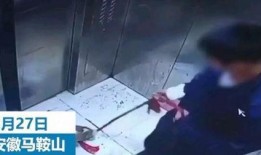 小男孩被爆料视频大全下载,真相与争议并存