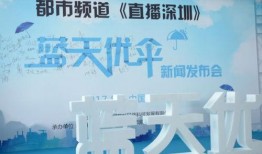 深圳市新闻频道爆料,聚焦城市热点事件背后的真相