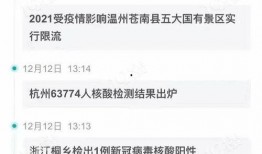 桐乡爆料新闻最新消息,突发事件引发关注，详情即将揭晓