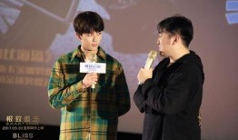 直播爆料吴磊事件视频,揭秘背后真相与争议