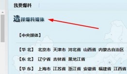 网上怎样爆料新闻,新闻生成的秘密通道