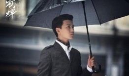 王海爆料任嘉伦视频播放,揭秘娱乐圈幕后真相