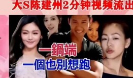 娱乐爆料瓜大s,揭秘明星背后的故事