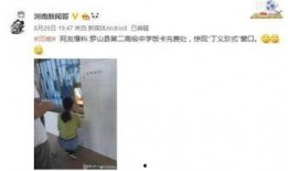 河南网友爆料新闻视频,惊现新闻视频，揭秘惊人真相！