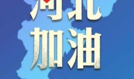 爆料秦皇岛新闻下载,新闻事件深度解析