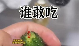 最新黄瓜爆料视频大全,精彩瞬间尽收眼底