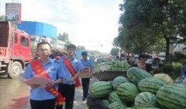 枣庄吃瓜网红事件,网络舆论的风暴与反思