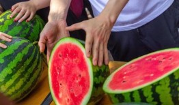 免费吃瓜905215,905215背后的故事