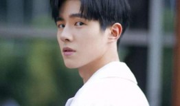 刘大锤爆料千玺视频播放,千玺视频播放背后的故事揭秘