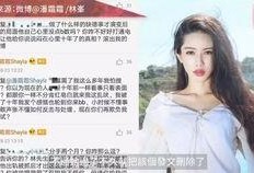 大瓜爆料解说视频,视频内容深度解析
