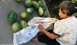 介休网红吃瓜最新事件,揭秘背后真相与网友热议