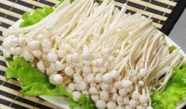 金针菇今日爆料最新视频,幕后故事与精彩瞬间