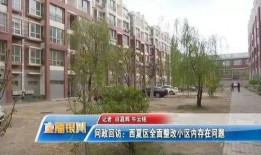 银川西夏区最新爆料,揭秘区域发展新动态与未来规划