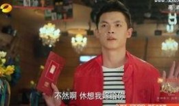 湖南卫视高清在线观看,尽享视听盛宴，畅游精彩世界