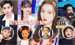 爆笑明星爆料大全下载最新,笑料横生，揭秘娱乐圈幕后趣闻