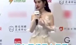 主持人鞠婧祎爆料事件视频,揭秘娱乐圈幕后真相